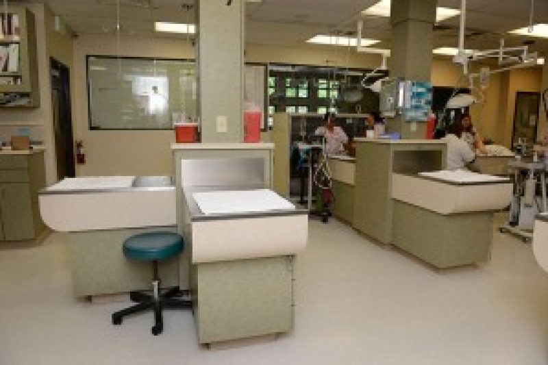 Exams and Consultations in North Las Vegas, NV in North Las Vegas, NV